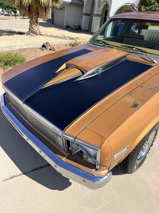 1978 Chevrolet Nova 4th Gen - Image 17 of 31