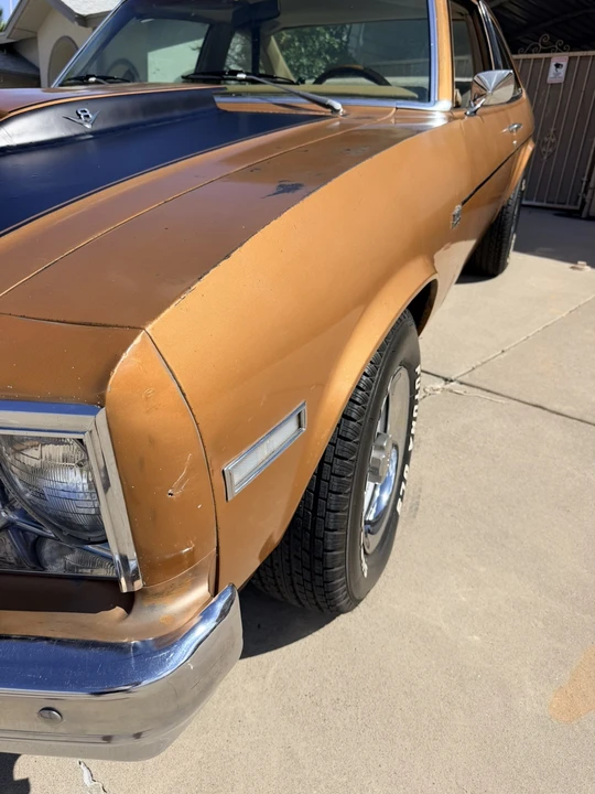 1978 Chevrolet Nova 4th Gen - Image 21 of 31