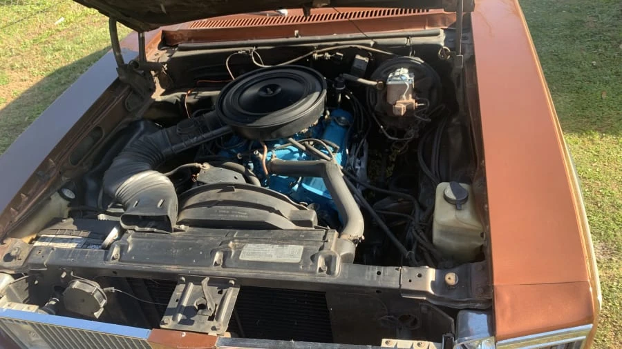 1978 Chevrolet Nova 4th Gen - Image 6 of 8