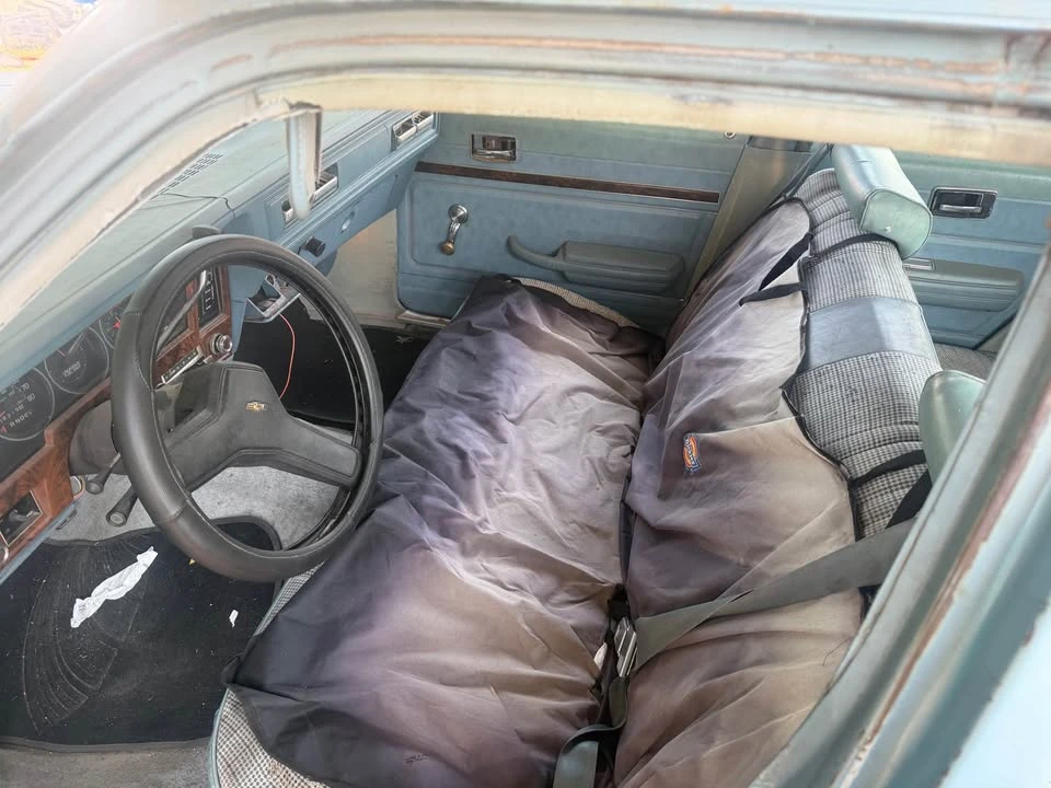 1978 Chevrolet Nova 4th Gen - Image 8 of 11