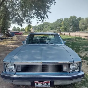 1978 Chevrolet Nova Custom