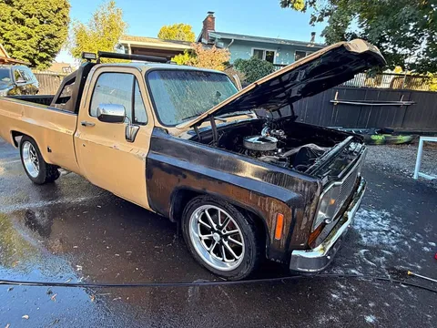 1978 Chevrolet Pickup C10