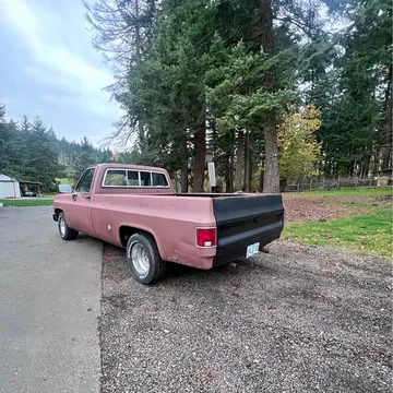 1978 Chevrolet Silverado 1500 Regular Cab c10