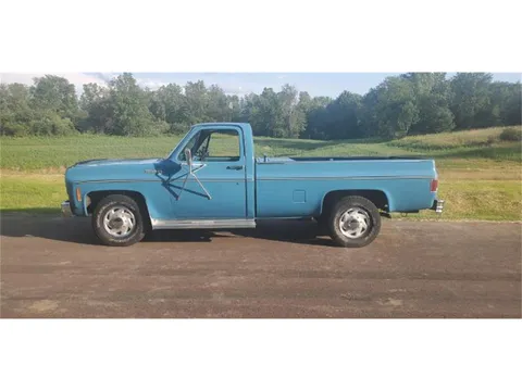 1978 Chevrolet Silverado 20