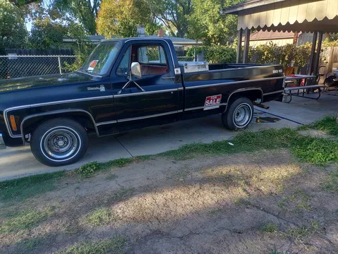 1978 Chevrolet Silverado C10 Long Bed Big Ten