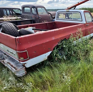 1978 Chevrolet C10
