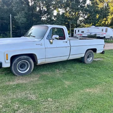 1978 Chevrolet C10 Ted