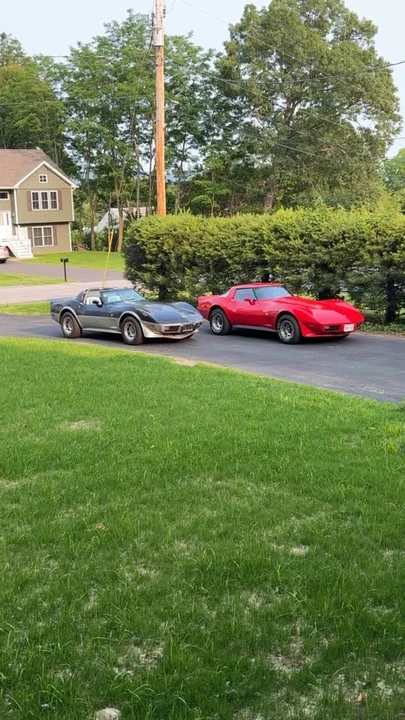 1978 Chevrolet Corvette C3 - Image 4 of 9
