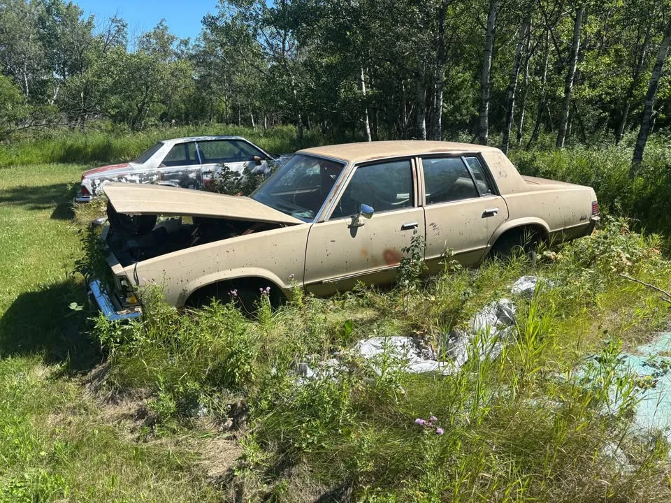 1978 Chevrolet Malibu - Image 2 of 11