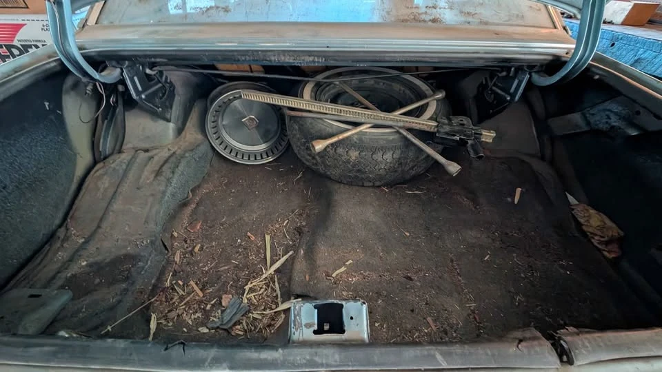 1978 Chevrolet Nova 4th Gen - Image 11 of 12