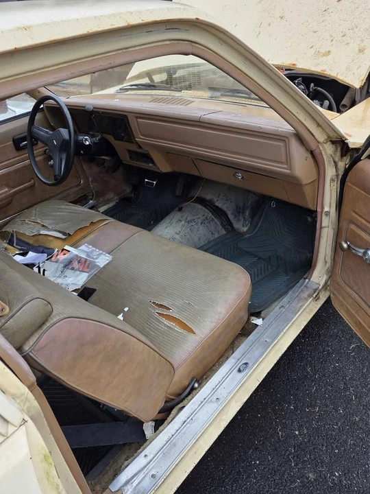1978 Chevrolet Nova 4th Gen - Image 3 of 8