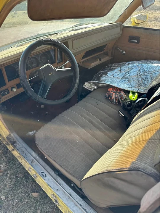 1978 Chevrolet Nova 4th Gen - Image 5 of 20