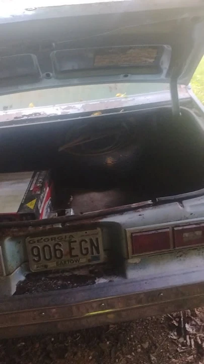 1978 Chevrolet Nova 4th Gen - Image 9 of 9
