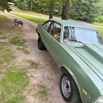 1978 Chevrolet Nova Custom