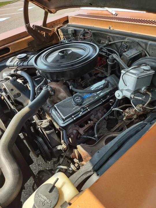 1978 Chevrolet Nova 4th Gen - Image 14 of 15