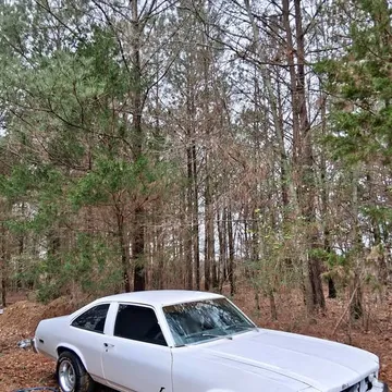 1978 Chevrolet Nova