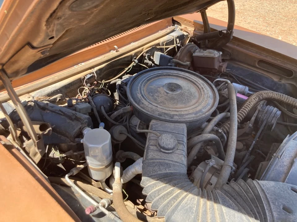 1978 Chevrolet Nova 4th Gen - Image 3 of 14