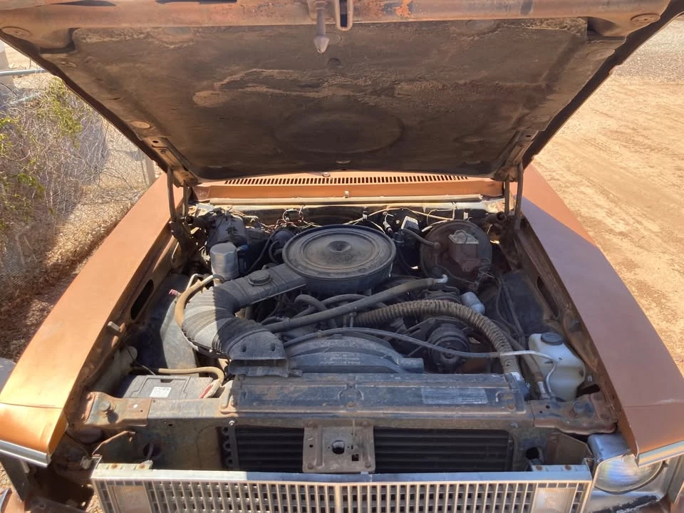 1978 Chevrolet Nova 4th Gen - Image 2 of 14