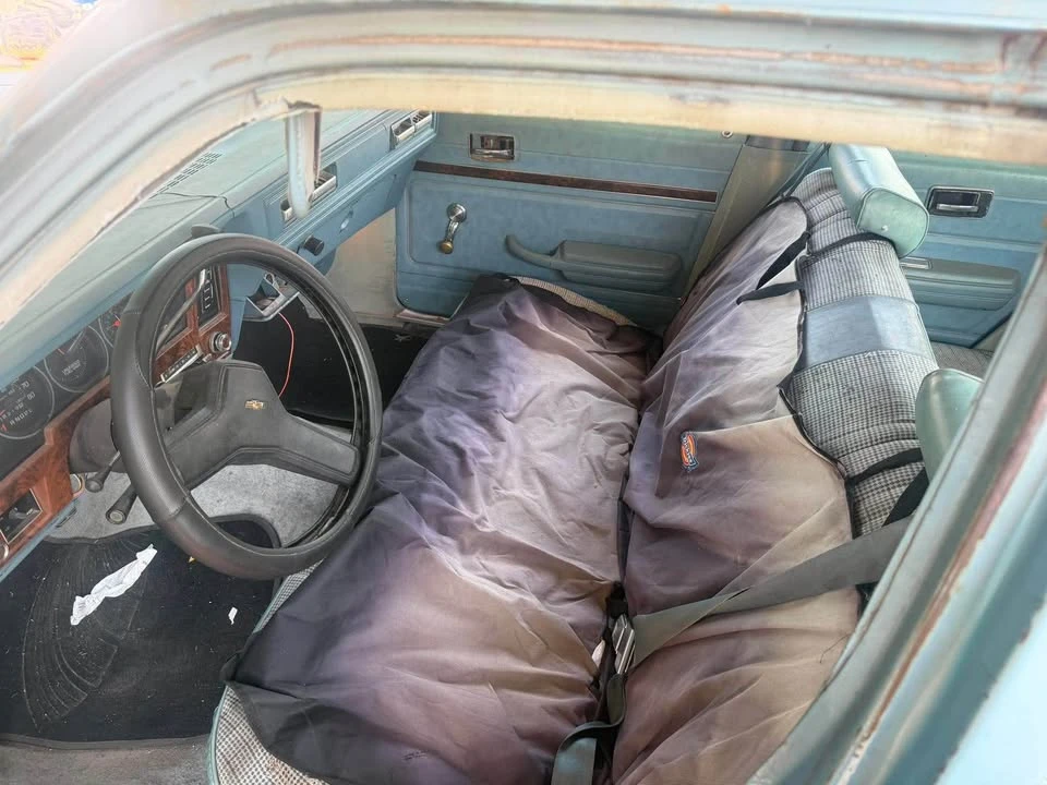 1978 Chevrolet Nova 4th Gen - Image 6 of 10