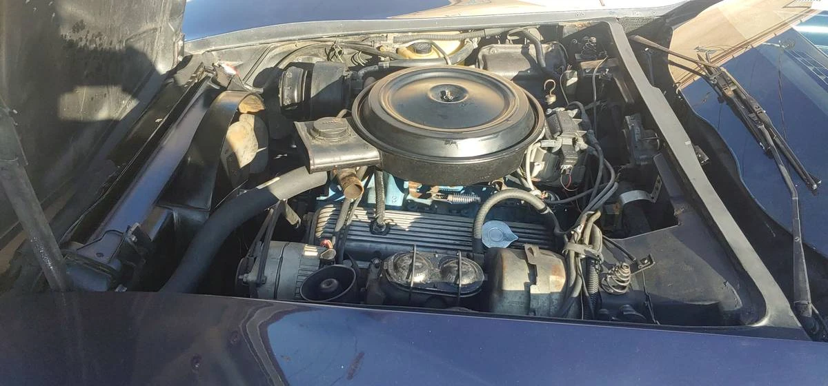 1978 Chevrolet Corvette C3 - Image 12 of 17