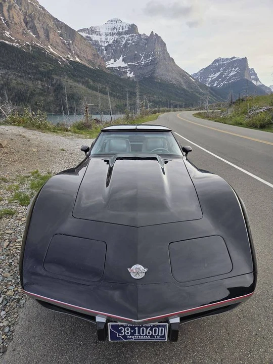 1978 Chevrolet Corvette C3 - Image 3 of 9