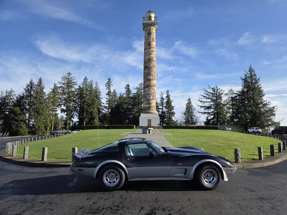 1978 Chevrolet Corvette C3 - Image 9 of 9