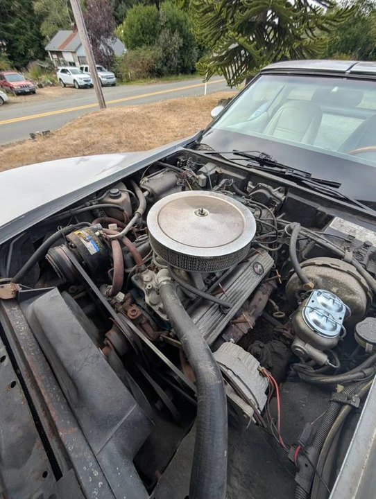 1978 Chevrolet Corvette C3 - Image 9 of 22