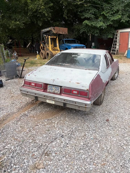 1978 Chevrolet Nova 4th Gen - Image 4 of 5