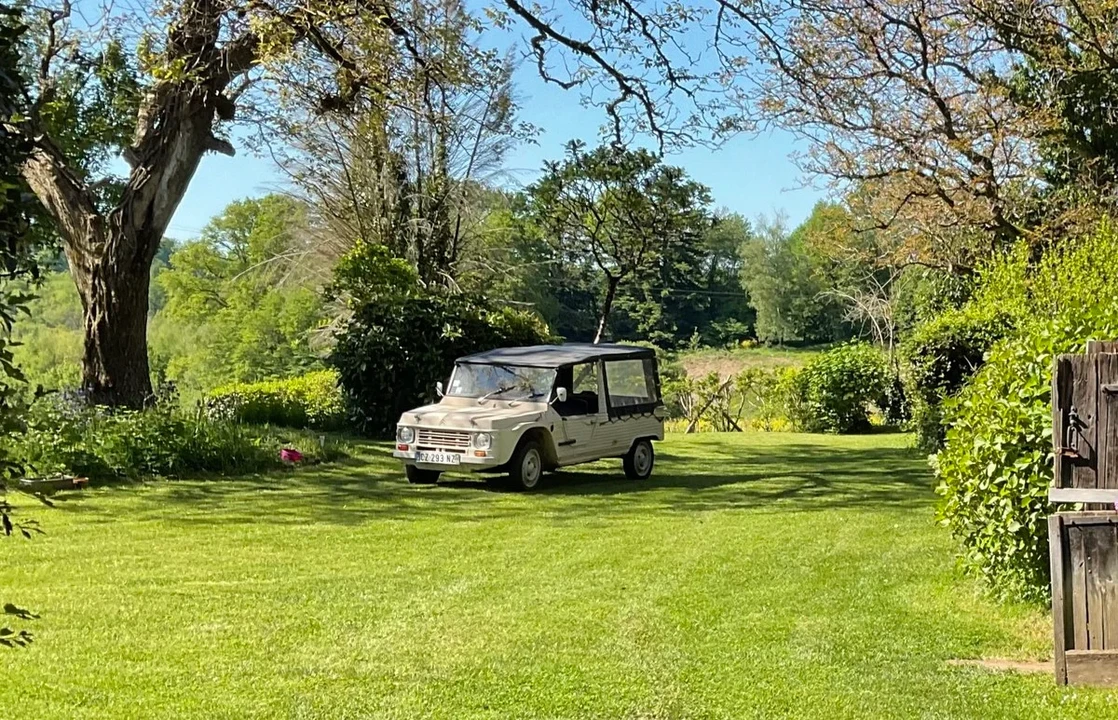 1978 Citroen Mehari - Image 5 of 30