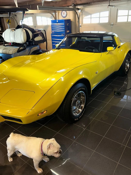 1978 Chevrolet Corvette C3 - Image 3 of 20