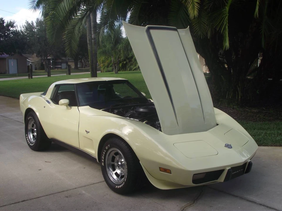 1978 Chevrolet Corvette C3 - Image 16 of 24