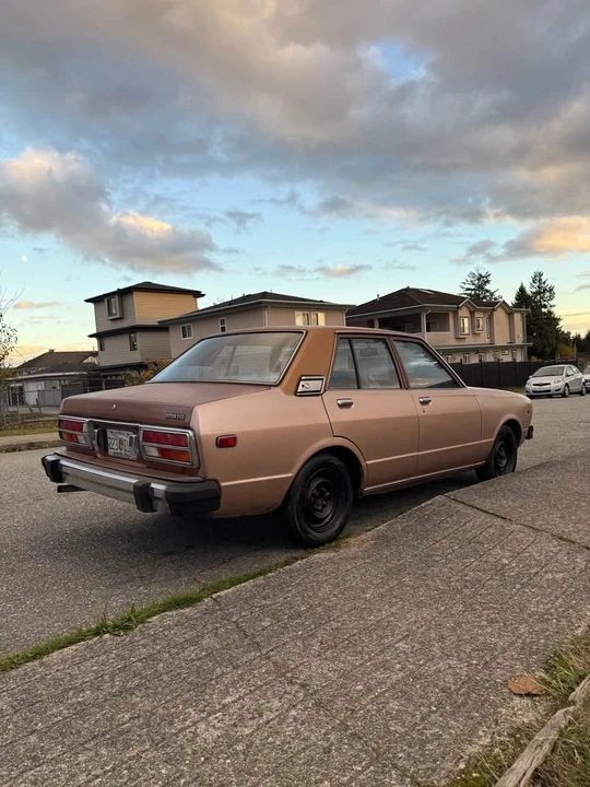 1978 Nissan 810 Bluebird - Image 3 of 5