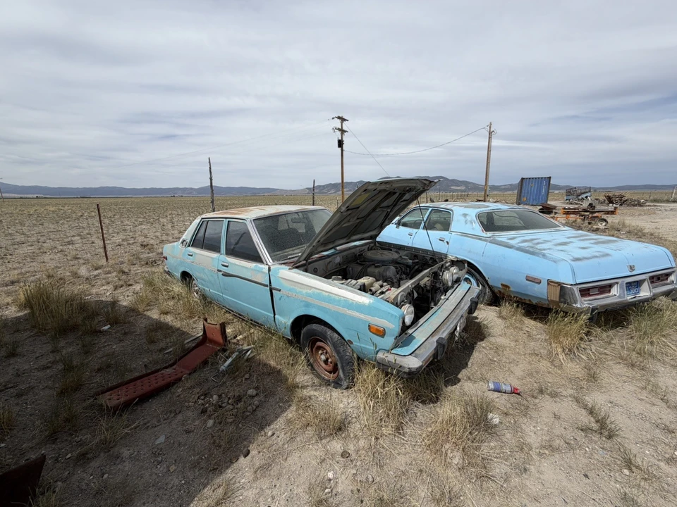 1978 Nissan 810 Bluebird - Image 12 of 20