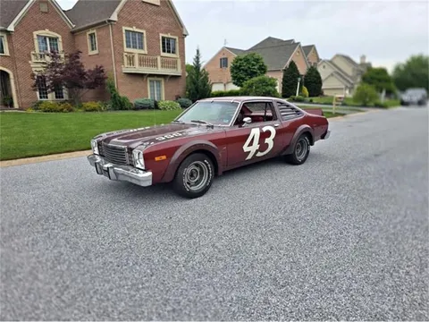 1978 Dodge Aspen Richard Petty Edition