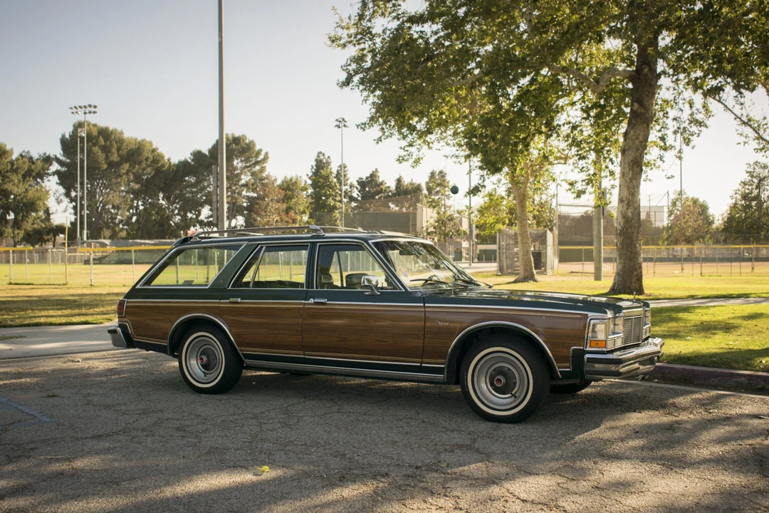 1978 Dodge Diplomat - Image 8 of 31