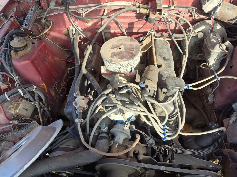1978 Ford GT - Image 4 of 8