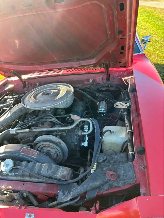 1978 Ford Mustang 2nd Gen - Image 12 of 14
