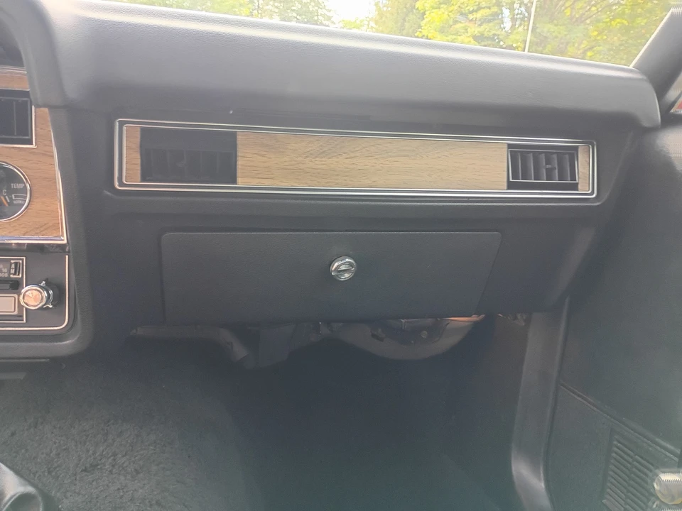1978 Ford Mustang 2nd Gen - Image 19 of 21