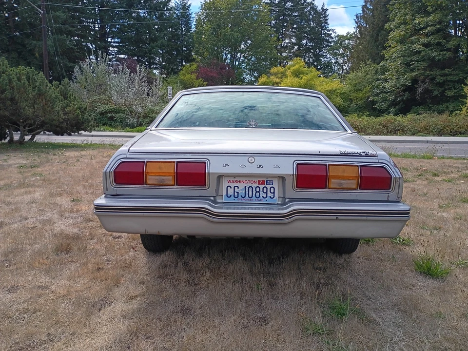 1978 Ford Mustang 2nd Gen - Image 10 of 21