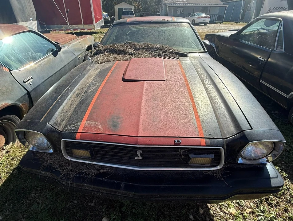 1978 Ford Mustang 2nd Gen - Image 2 of 3