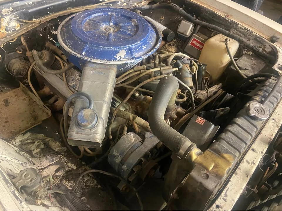 1978 Ford Mustang 2nd Gen - Image 20 of 20