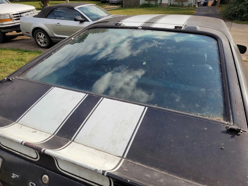 1978 Ford Mustang 2nd Gen - Image 15 of 15