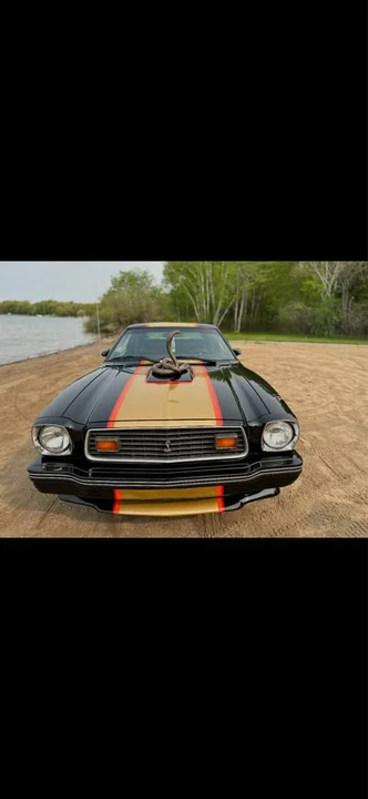 1978 Ford Mustang 2nd Gen - Image 2 of 12