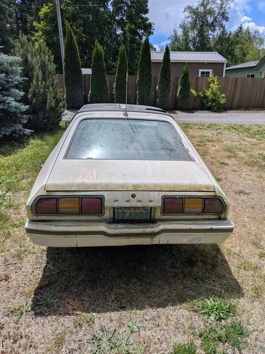 1978 Ford Mustang 2nd Gen - Image 2 of 6