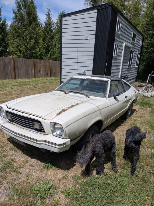 1978 Ford Mustang 2nd Gen - Image 3 of 6