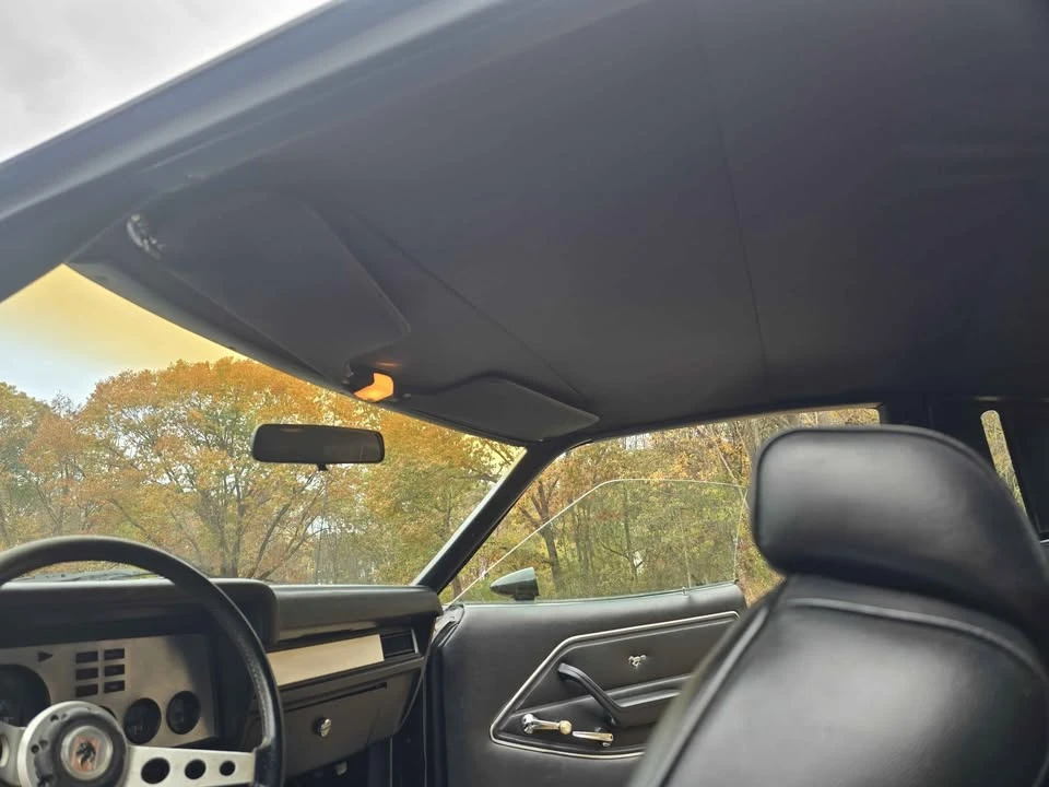 1978 Ford Mustang 2nd Gen - Image 10 of 15