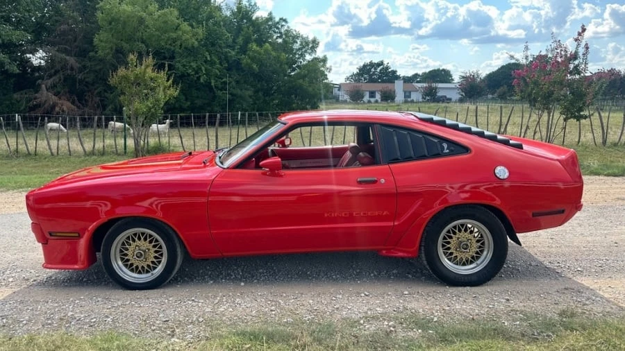 1978 Ford Mustang Cobra II & King Cobra 2nd Gen - Image 2 of 7