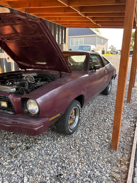 1978 Ford Mustang 2nd Gen - Image 13 of 13