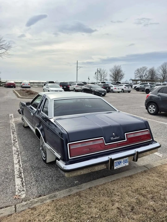 1978 Ford Thunderbird 7th Gen - Image 4 of 20