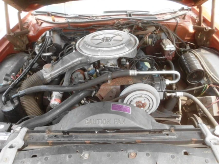 1978 Ford Thunderbird 7th Gen - Image 4 of 7